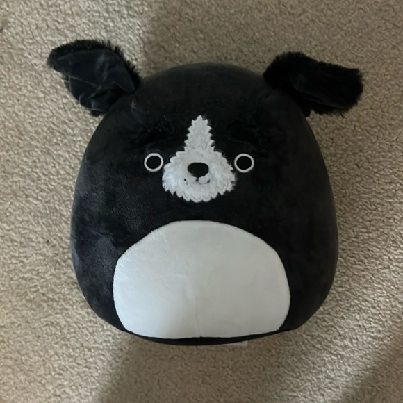 Squishmallows Other - Paulie the Schnauzer Squishmallow
